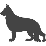 Německý ovčák_var02