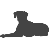 Rhodéský ridgeback_var02