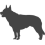 Australský honácký pes_var01