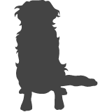 Bernský salašnický pes_var03