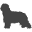 Briard_var01
