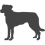 Beauceron_var01
