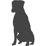 Boxer_var03
