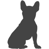 Francouzský buldoček_var02