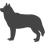 Husky_var01
