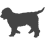 Goldendoodle_var01