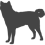 Akita inu_var01