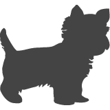 Yorkshire_var02
