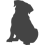 Mops_var03