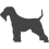 Welsh teriér_var01