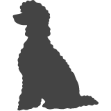 Pudl_var02