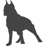 Pitbull_var01