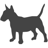 Miniaturní bulteriér_var01