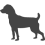 Patterdale teriér_var01