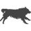 Australský ovčák_var02